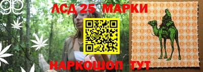 apvp Малоярославец
