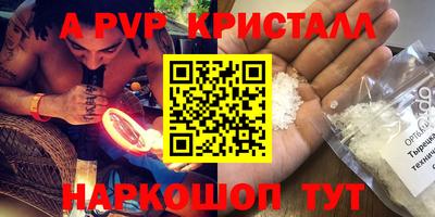стафф Моздок