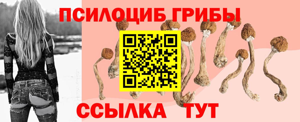 Галлюциногенные грибы прущие грибы Тосно