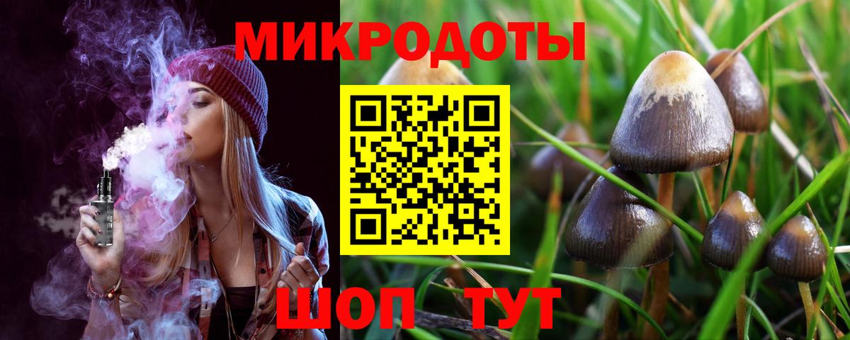 наркота  Псилоцибиновые грибы прущие грибы  Вход с VPN  Тосно 